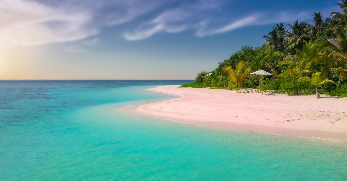 protégez vos voyages avec une assurance voyage adaptée à vos besoins. bénéficiez d'une couverture complète pour vos annulations, soins médicaux à l'étranger et urgences. voyagez l'esprit tranquille !