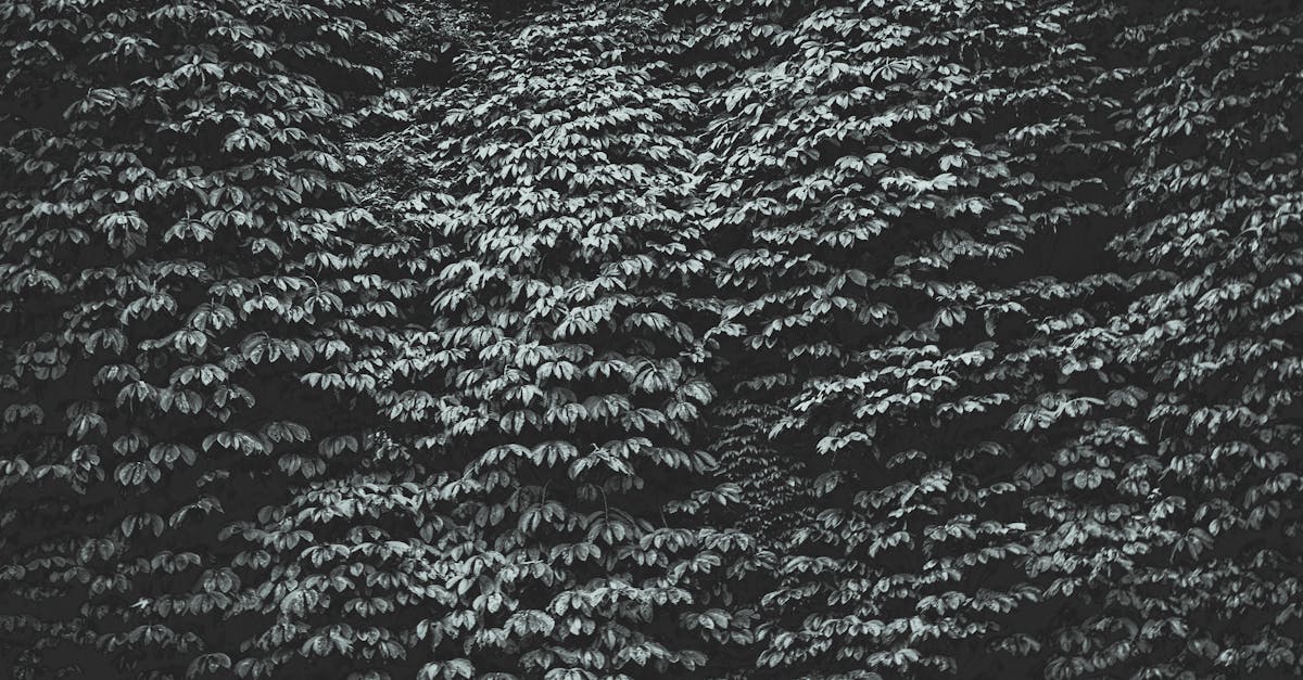 découvrez l'importance et les avantages d'une couverture de responsabilité civile pour protéger vos biens et votre patrimoine contre d'éventuels litiges et réclamations. informez-vous sur les différentes options et trouvez la meilleure solution adaptée à vos besoins.