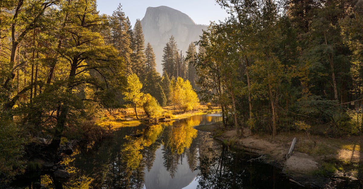 découvrez l'importance de l'assurance voyage pour protéger vos aventures à l'étranger. profitez d'un voyage en toute sérénité avec une couverture adaptée à vos besoins, incluant les frais médicaux, l'annulation, et bien plus encore.