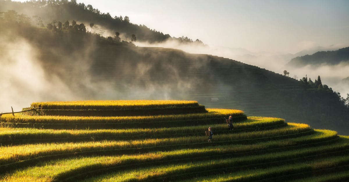 découvrez l'importance d'une assurance voyage pour protéger vos aventures. explorez nos options fiables pour couvrir les imprévus, garantir votre sécurité et profiter pleinement de votre voyage sereinement.