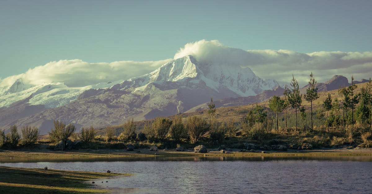 découvrez notre sélection d'assurances voyage adaptées à vos besoins pour garantir votre sérénité durant vos périples. profitez de protections complètes, d'une assistance 24/7 et d'offres personnalisées pour voyager l'esprit tranquille.