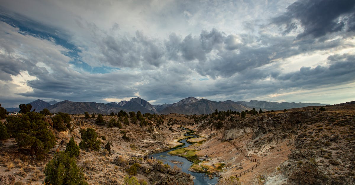 découvrez l'importance de l'assurance voyage pour protéger votre santé et vos biens pendant vos déplacements. obtenez des conseils sur les meilleures options et comparez les couvertures pour voyager l'esprit tranquille.