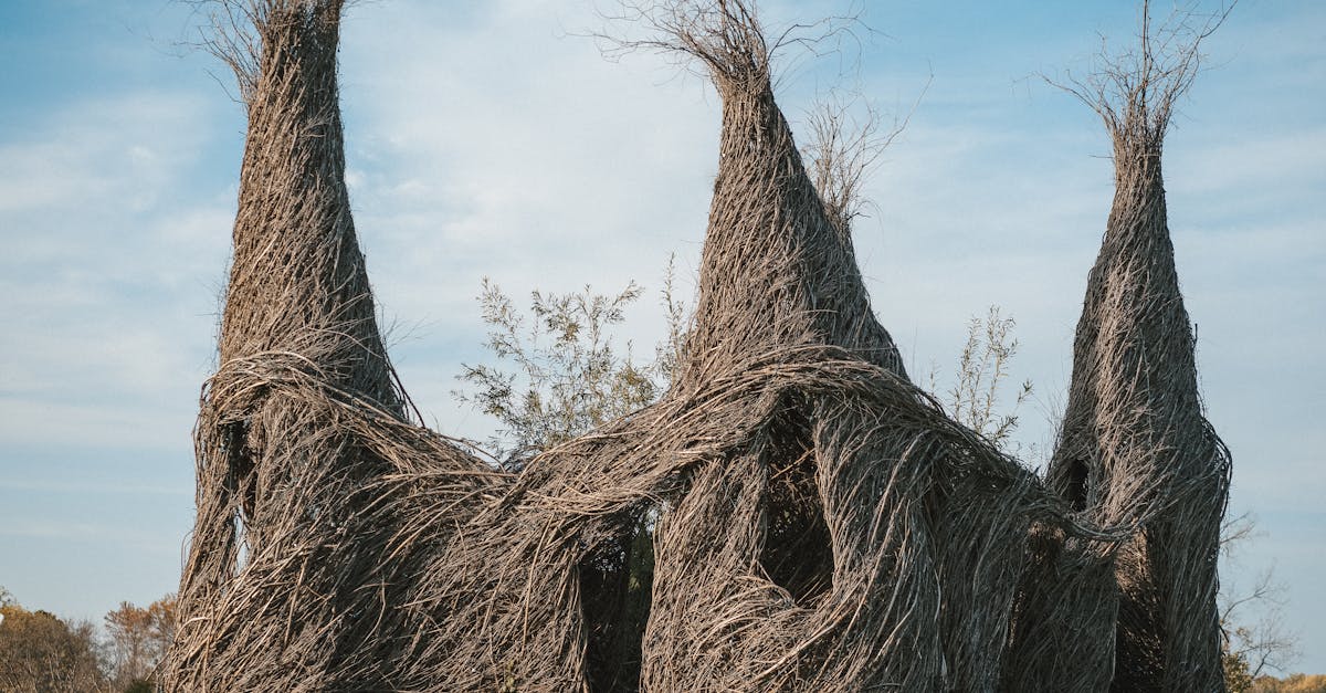découvrez la chapka, un accessoire incontournable pour affronter le froid avec style. alliant confort et élégance, elle protège votre tête et vos oreilles tout en ajoutant une touche de sophistication à vos tenues hivernales.